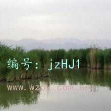 ʶ